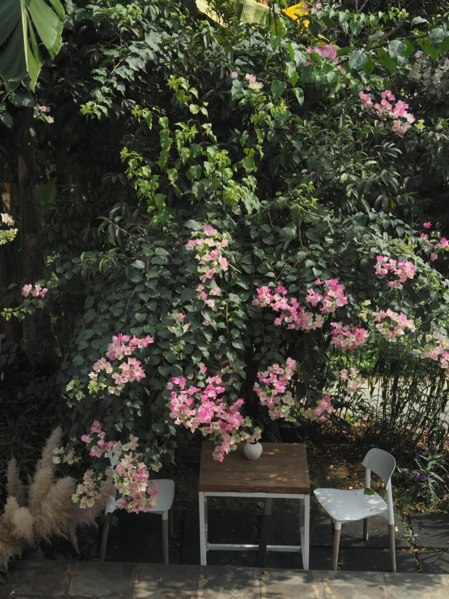 Yangshuo Hillside Homestay Екстериор снимка