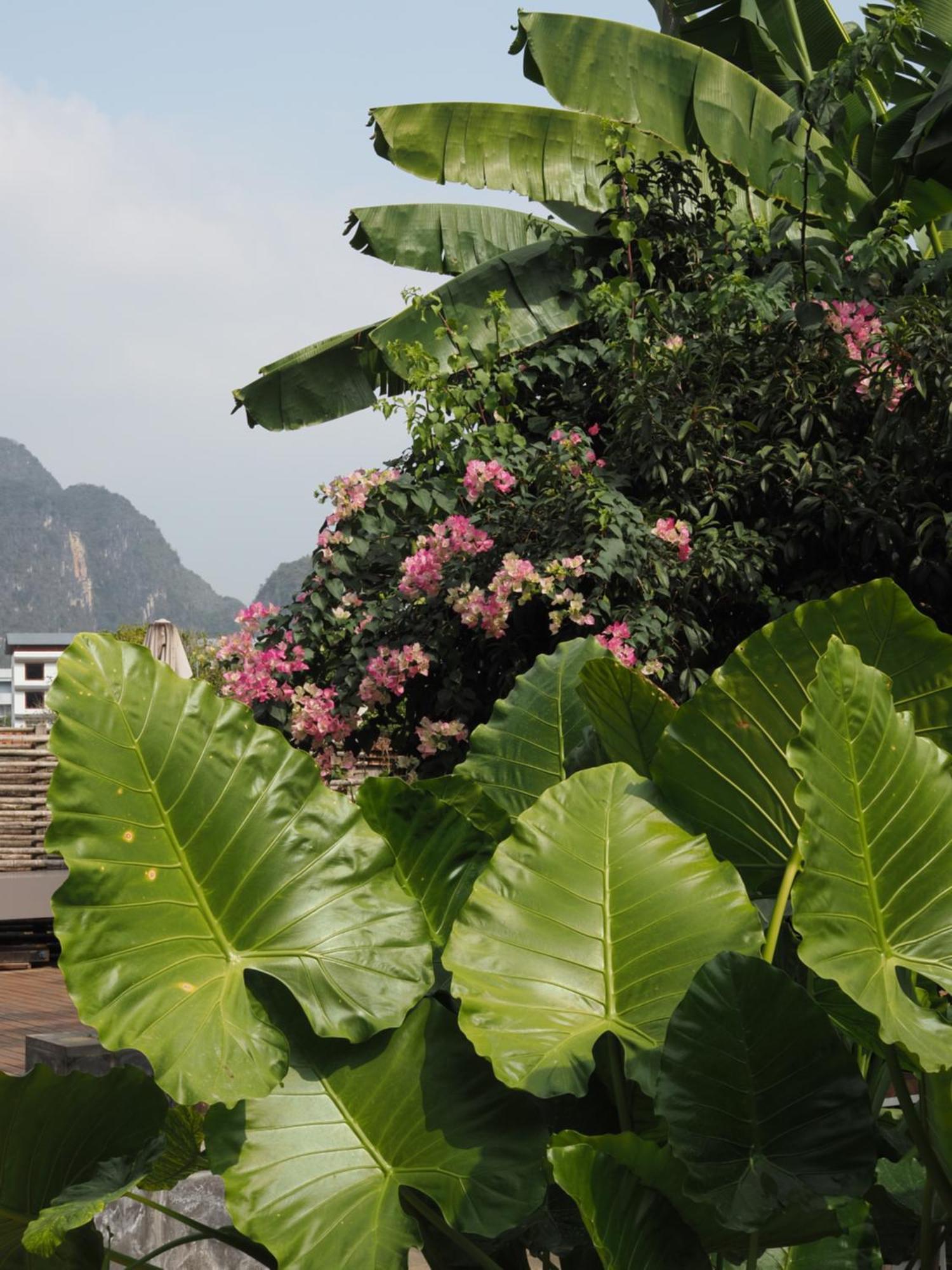 Yangshuo Hillside Homestay Екстериор снимка