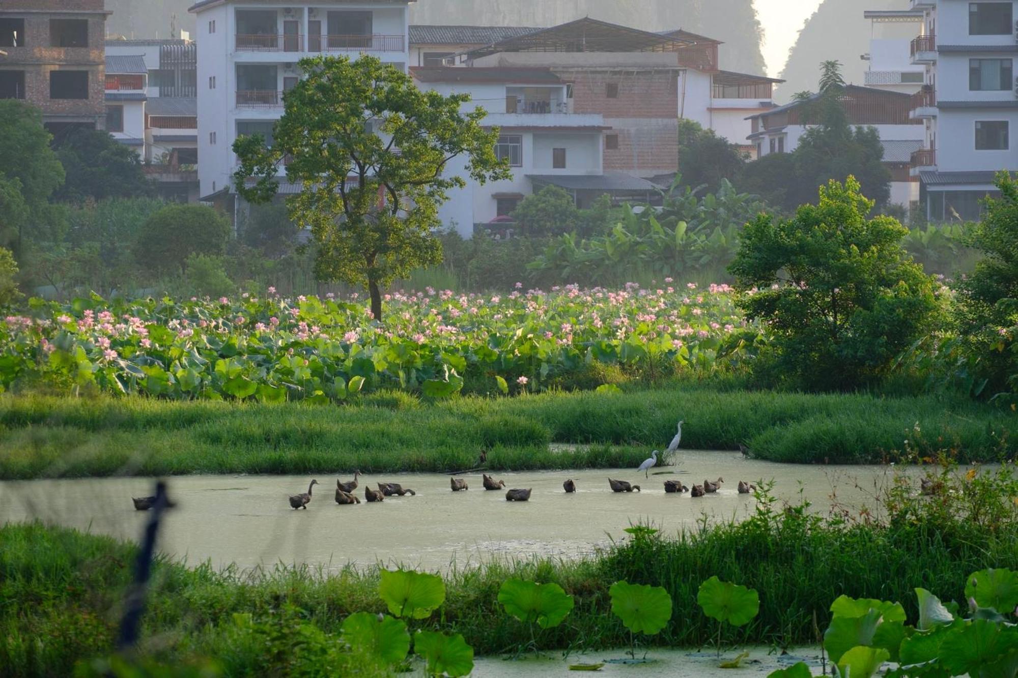 Yangshuo Hillside Homestay Екстериор снимка