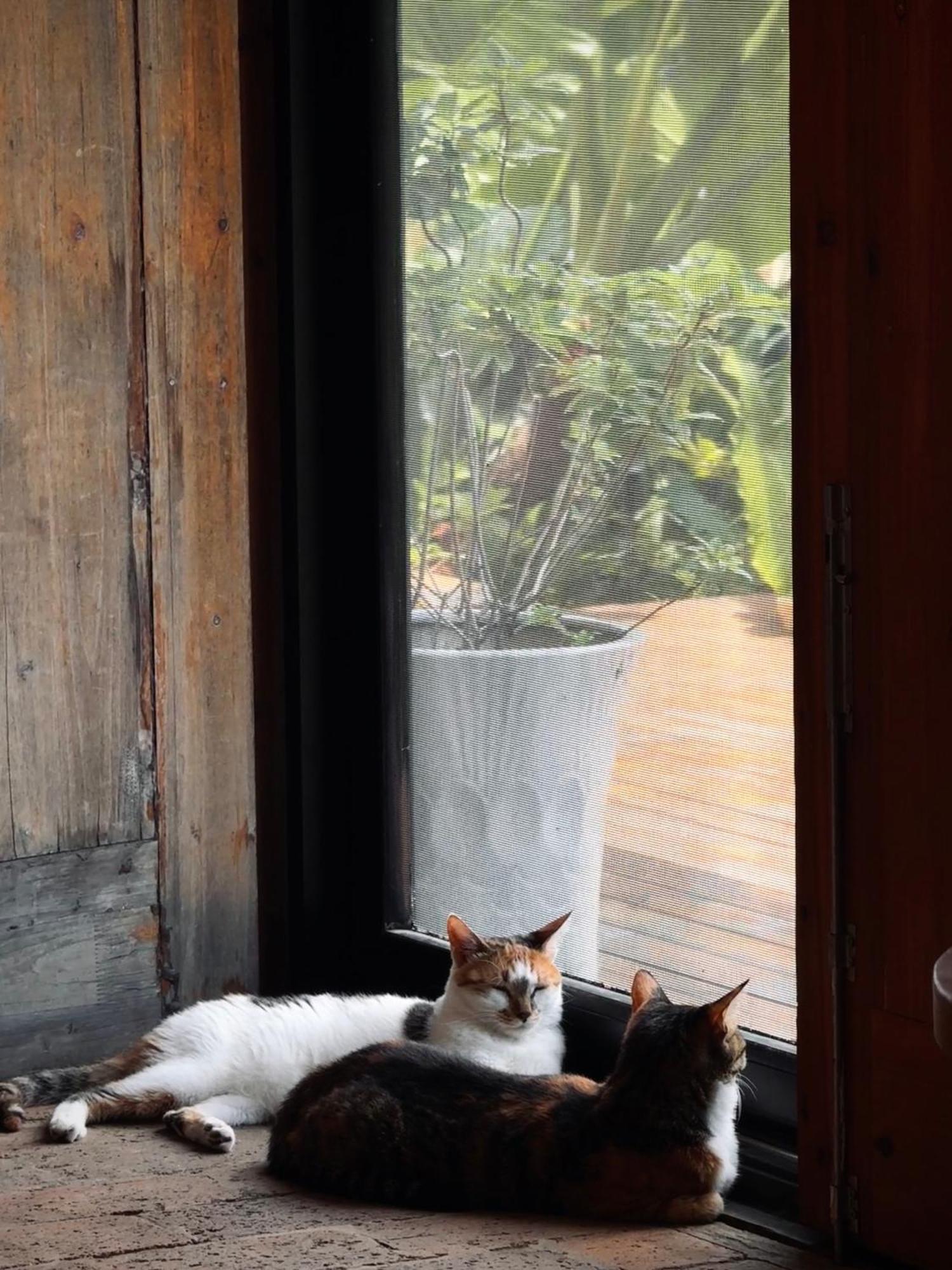 Yangshuo Hillside Homestay Екстериор снимка