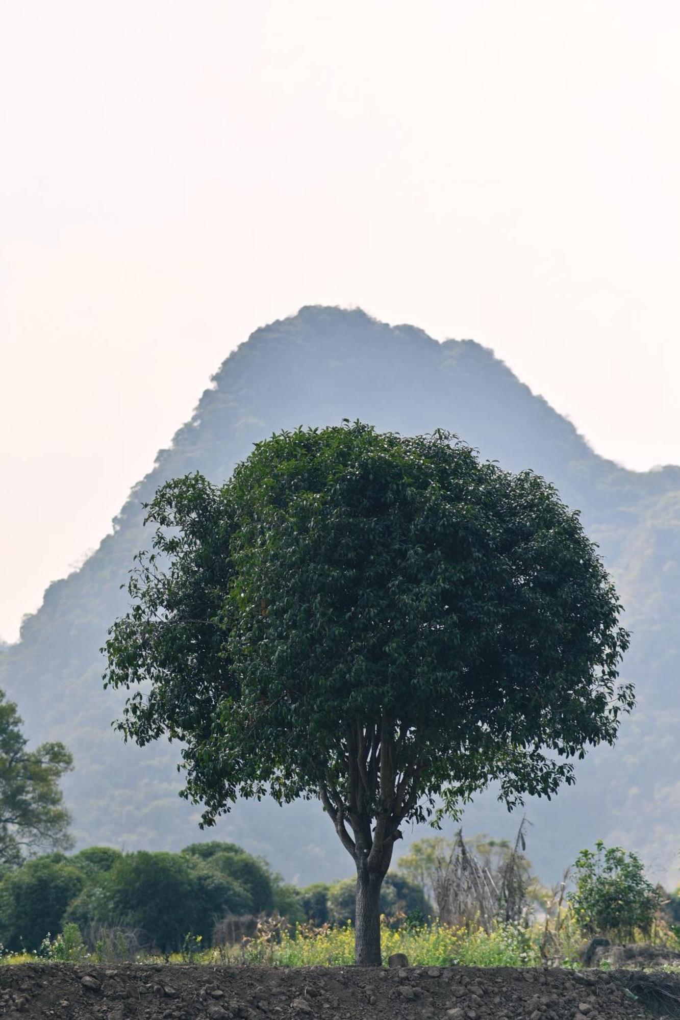 Yangshuo Hillside Homestay Екстериор снимка